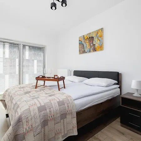 Apartment Salsa Z Parkingiem By Renters *