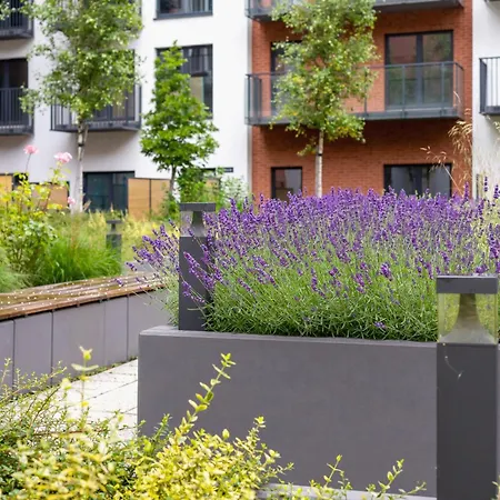 Salsa Z Parkingiem By Renters Apartment *